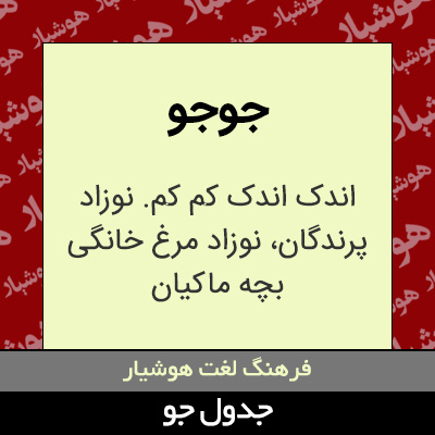 تصویری از جوجو