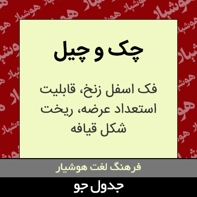 تصویری از چک و چیل