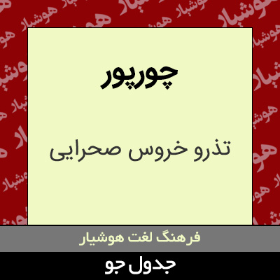 تصویری از چورپور