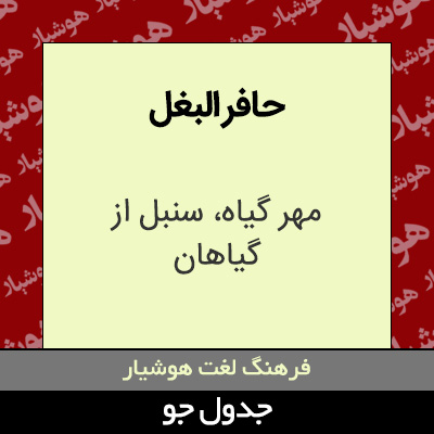 تصویری از حافر البغل