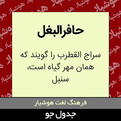 تصویری از حافرالبغل