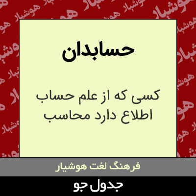 تصویری از حسابدان