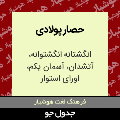 تصویری از حصار پولادی