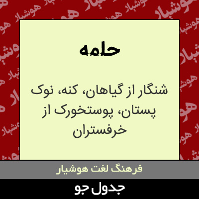 تصویری از حلمه