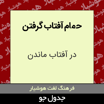 تصویری از حمام آفتاب گرفتن