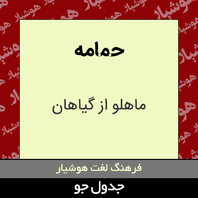 تصویری از حمامه