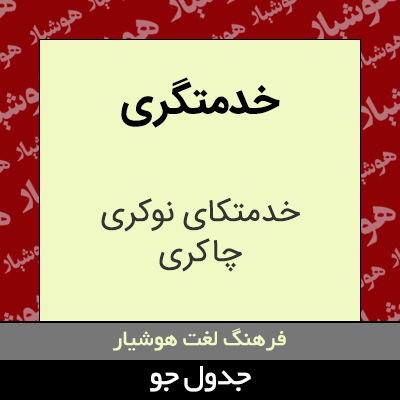 تصویری از خدمتگری