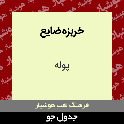 تصویری از خربزه ضایع