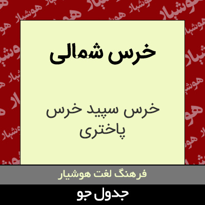 تصویری از خرس شمالی