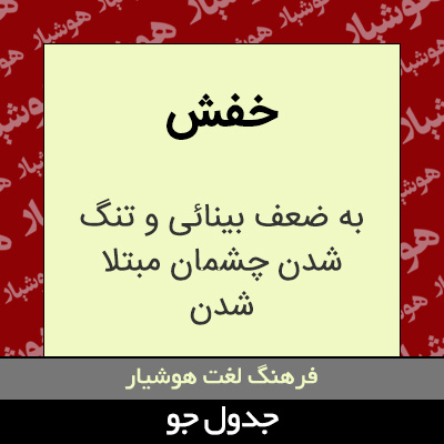 تصویری از خفش