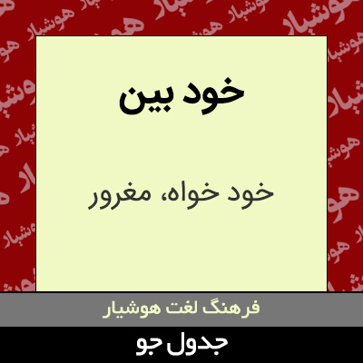 تصویری از خود بین