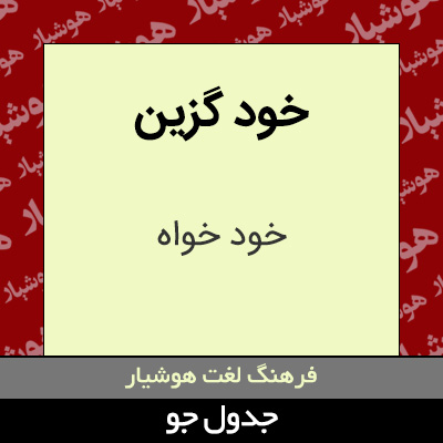 تصویری از خود گزین