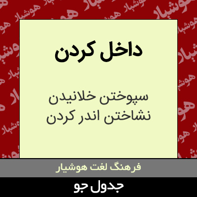 تصویری از داخل کردن