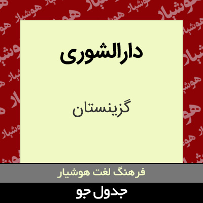 تصویری از دارالشوری