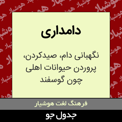 تصویری از دامداری