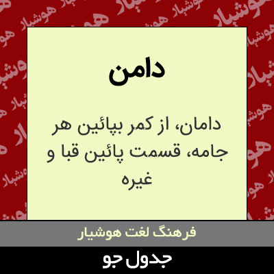 تصویری از دامن