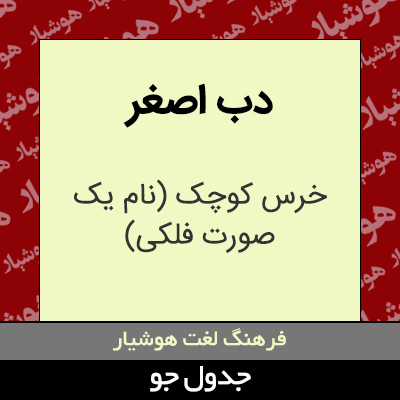 تصویری از دب اصغر