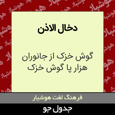 تصویری از دخال الاذن