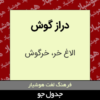 تصویری از دراز گوش