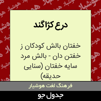 تصویری از درع کژاگند