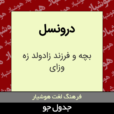 تصویری از درونسل