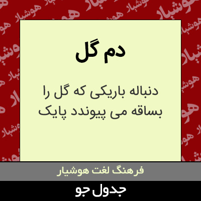 تصویری از دم گل