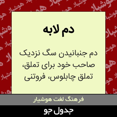 تصویری از دم لابه