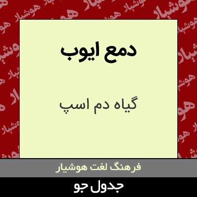 تصویری از دمع ایوب