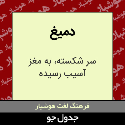 تصویری از دمیغ