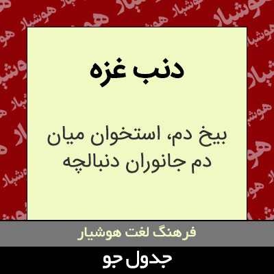 تصویری از دنب غزه