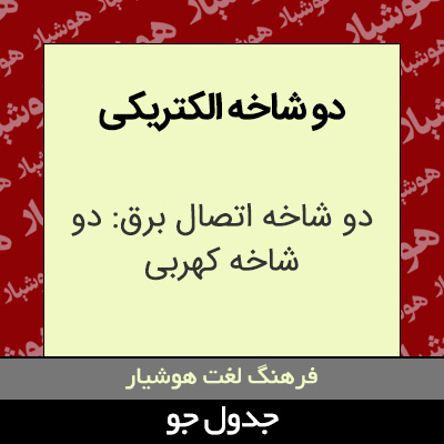 تصویری از دو شاخه الکتریکی