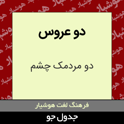 تصویری از دو عروس