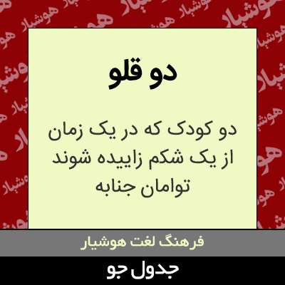 تصویری از دو قلو