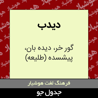 تصویری از دیدب