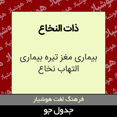 تصویری از ذات النخاع