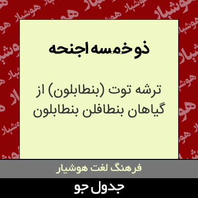 تصویری از ذو خمسه اجنحه