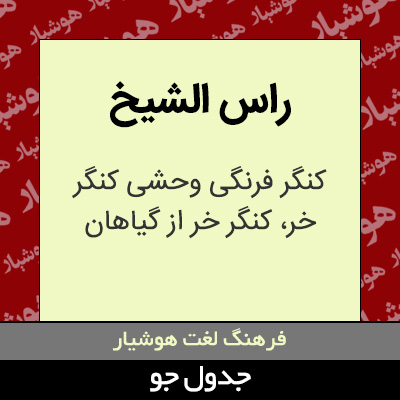 تصویری از راس الشیخ