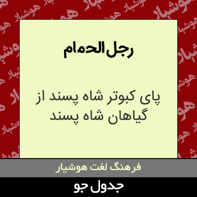 تصویری از رجل الحمام