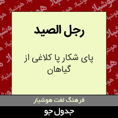 تصویری از رجل الصید