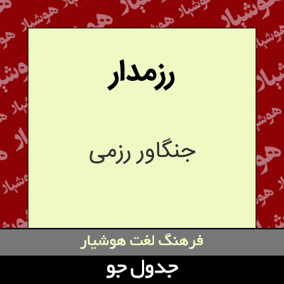 تصویری از رزمدار