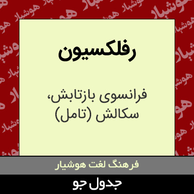 تصویری از رفلکسیون