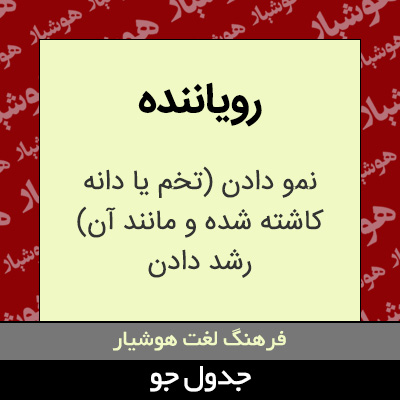 تصویری از رویاننده