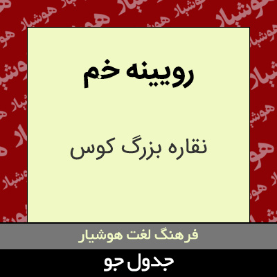 تصویری از رویینه خم