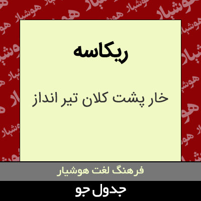 تصویری از ریکاسه