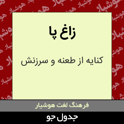 تصویری از زاغ پا