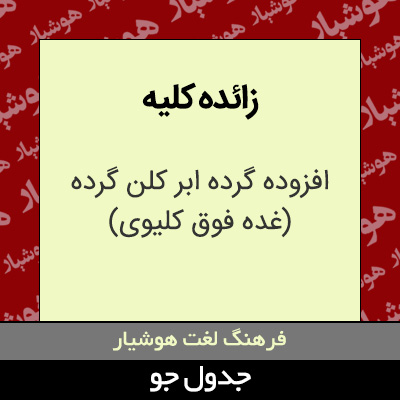 تصویری از زائده کلیه