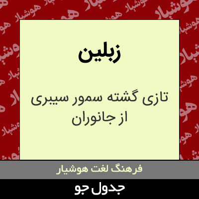 تصویری از زبلین