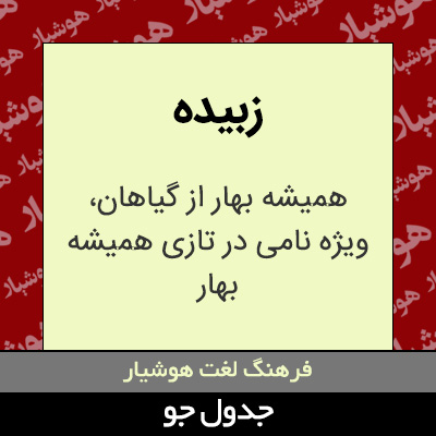 تصویری از زبیده