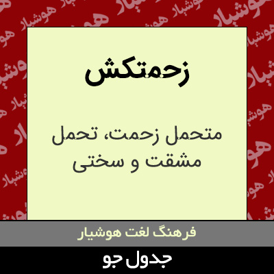 تصویری از زحمتکش