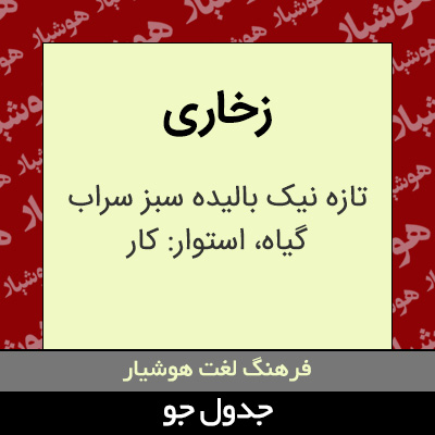تصویری از زخاری